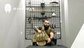 Миниатюра для версии от 20:13, 4 октября 2024