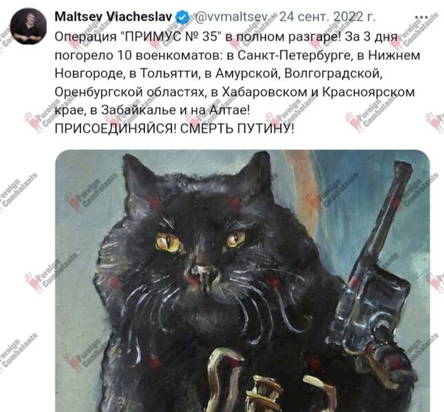 Файл:Screenshot 20250903 203654.jpg