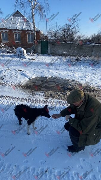 Файл:3e69b4a82d4fd9b9e36319d93fb2871c.jpeg