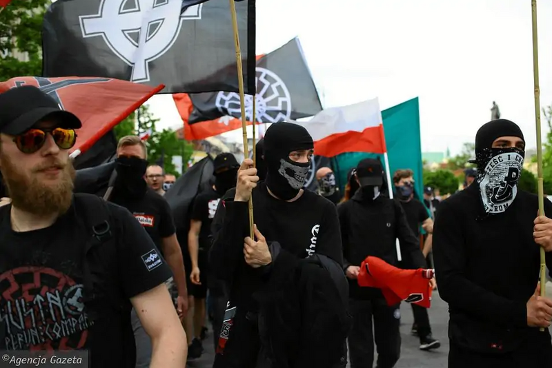 Файл:Нацисты в Польше.png