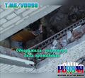 Миниатюра для версии от 20:23, 1 июня 2025
