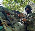 Миниатюра для версии от 21:29, 12 июня 2024